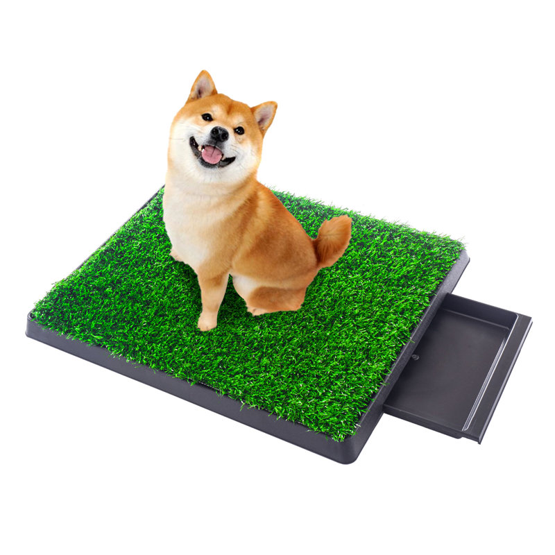 Tucker Murphy Pet Kaydence Dog Potty Trainer Pee Turf with Drawer 20 x25 Reviews Wayfair